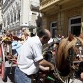 Fiestas de la Mare de Déu del Lledó