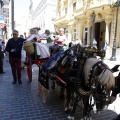 Fiestas de la Mare de Déu del Lledó