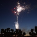 Fiestas de la Mare de Déu del LLedó