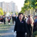 Fiestas de la Mare de Déu del LLedó