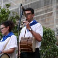 Festival de danses