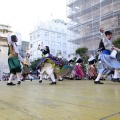 Festival de danses