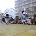 Festival de danses