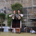 Festival de danses