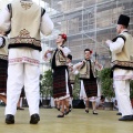 Festival de danses