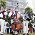 Festival de danses