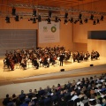 Orquesta Sinfónica Freixenet