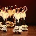 Festival de danza Coppelia