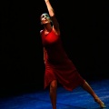 Festival de danza Coppelia