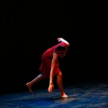 Festival de danza Coppelia