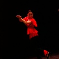 Festival de danza Coppelia