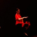 Festival de danza Coppelia