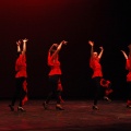 Festival de danza Coppelia