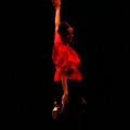Festival de danza Coppelia