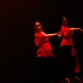 Festival de danza Coppelia