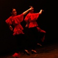 Festival de danza Coppelia