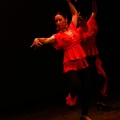 Festival de danza Coppelia