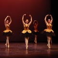 Festival de danza Coppelia
