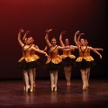 Festival de danza Coppelia
