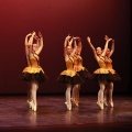 Festival de danza Coppelia