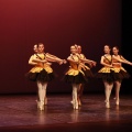 Festival de danza Coppelia
