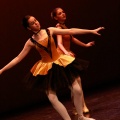 Festival de danza Coppelia