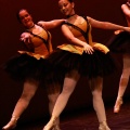 Festival de danza Coppelia