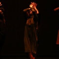 Festival de danza Coppelia