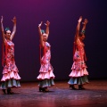 Festival de danza Coppelia