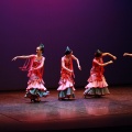 Festival de danza Coppelia