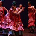 Festival de danza Coppelia