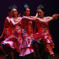 Festival de danza Coppelia