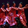 Festival de danza Coppelia