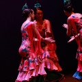 Festival de danza Coppelia