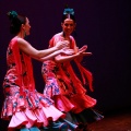 Festival de danza Coppelia