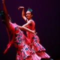 Festival de danza Coppelia