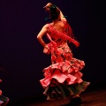 Festival de danza Coppelia