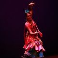 Festival de danza Coppelia
