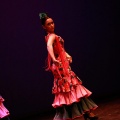 Festival de danza Coppelia