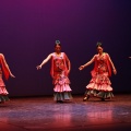 Festival de danza Coppelia