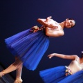 Festival de danza Coppelia