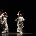 Festival de danza Coppelia