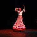 Festival de danza Coppelia