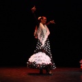 Festival de danza Coppelia