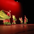 Festival de danza Coppelia