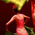 Festival de danza Coppelia