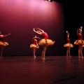 Festival de danza Coppelia