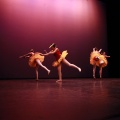 Festival de danza Coppelia