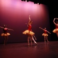 Festival de danza Coppelia