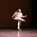 Festival de danza Coppelia